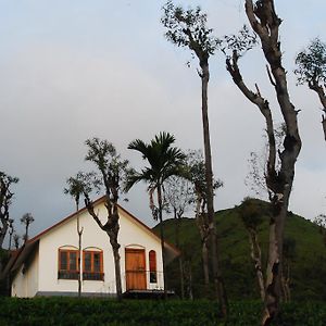 Tea Terrace Vythiri